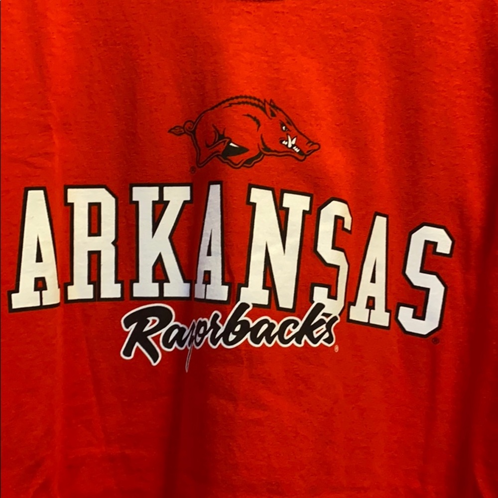 Arkansas Razor backs L - Picture 2 of 3